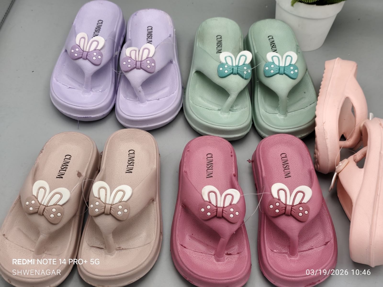 Baby butterfly